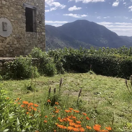 Silent View